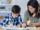 Qualified Home Tutor Available @ Basabo