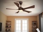 Qulik Falcon 53 Energy Saving BLDC Remote Control Ceiling Fan