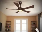 Qulik Falcon 53 Energy Saving BLDC Remote Control Ceiling Fan