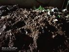 রাবিস জায়গা ভরাট করার মাটি বিক্রি হবে