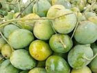 রাজশাহীর ঐতিহ্যবাহী সুস্বাদু হিমসাসগর আম