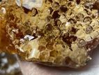 রাজশাহীর খাঁটি মধু Honey