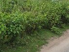 রাজউক পূর্বাচল ৫কাঠা দক্ষিণ কর্নার প্লট বিক্রয়
