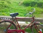 Bicycle for sell