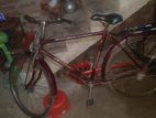 Cycle for sell