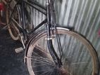 Bicycle For Sell