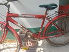 Bicycle for sell