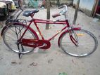 cycle for sell