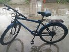 Phoenix Bicycle for sale