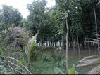 রাস্তা সংলগ্ন জমি বিক্রয়।।