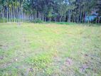 Land for sale