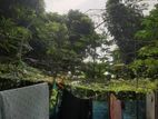 রাস্তার পাসে মাল বাজারের সাথেই জমি কেও নিতে চাইলে কল দিন