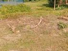 রাস্তার পাশে বাড়ি সহ জমি বিক্রয় করা হবে