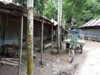 রাস্তার পাশে দোকান সহ ৫ কাঠা জমি