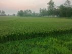 রাস্তার পাশে জমি ( নোয়াখালী - কুমিল্লা /ঢাকা)
