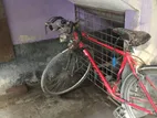 Racing Cycle