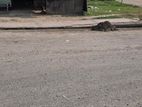 RAJUK PURBACHAL SECTOR -17 SOUTH FACING PLOT