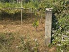 Rajuk Purbachal Sector -23 South Facing Plot Sell
