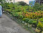 RAJUK UTTARA 3rd PHASE 6 KATHA PLOT SELL