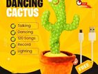 Dancing and talking cactus