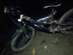 Bicycle sell
