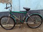 Bicycle for sell