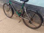 Bicycle for sell