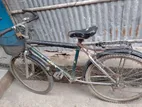 Cycle For Sale