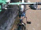 ranger mix bicycle for sell