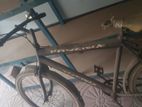 Bicycle for sell