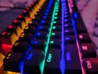 Rapoo V500 SE USB Mix-Colored Backlit Mechanical Gaming Keyboard