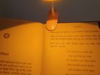 Reading clip light