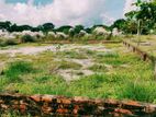 Ready Land for Sale @ Modhu city