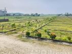 Ready plot 3 katha => রাস্তা বাদে সঠিক পরিমাপের বাউন্ডারি করা নিন