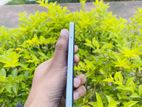 Realme 11pro (Used)