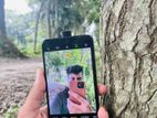 Realme 5 x (Used)