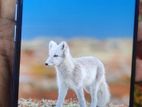 Realme 6 (Used)