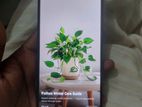 Realme 7 Pro (Used)