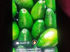 Xiaomi Redmi Note 7 . (Used)