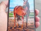 Realme 8 8/128 (Used)