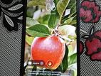 Realme 9 pro . (Used)