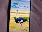 Realme Narzo 50 ' (Used)