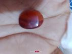 Red Coral Stone