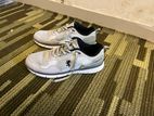 Redtape Classic Shoe