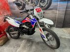 Regal Raptor Rusi XL On Test 2020