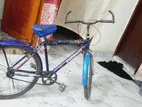 Duranta Bicycle for sale
