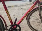 Bicycle for sale