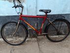 Bicycle for sell