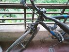 Duranta Bicycle for sale