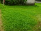 Residential Plot For Sale